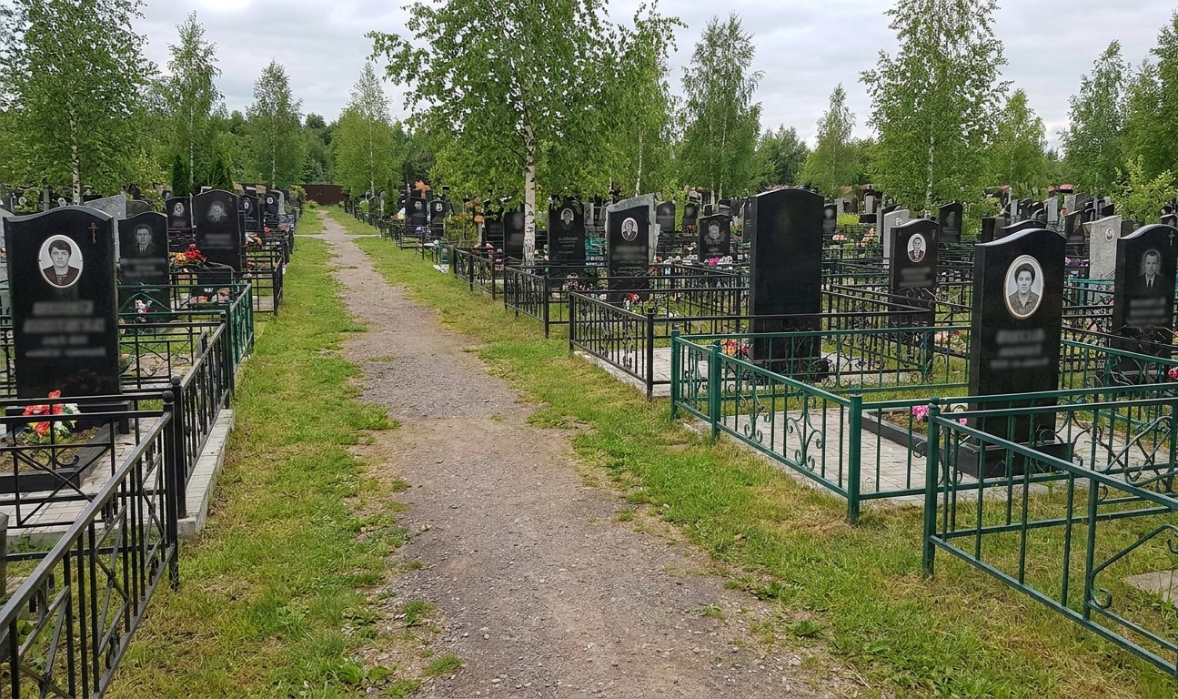 Булыгинское (Старое городское) кладбище